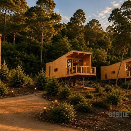Bosque De Cea Nigrán
