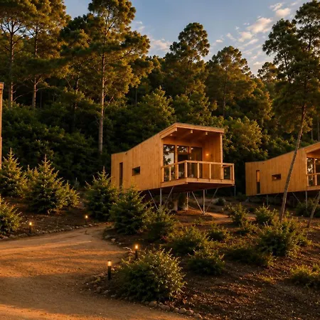 Appartamento Bosque De Cea